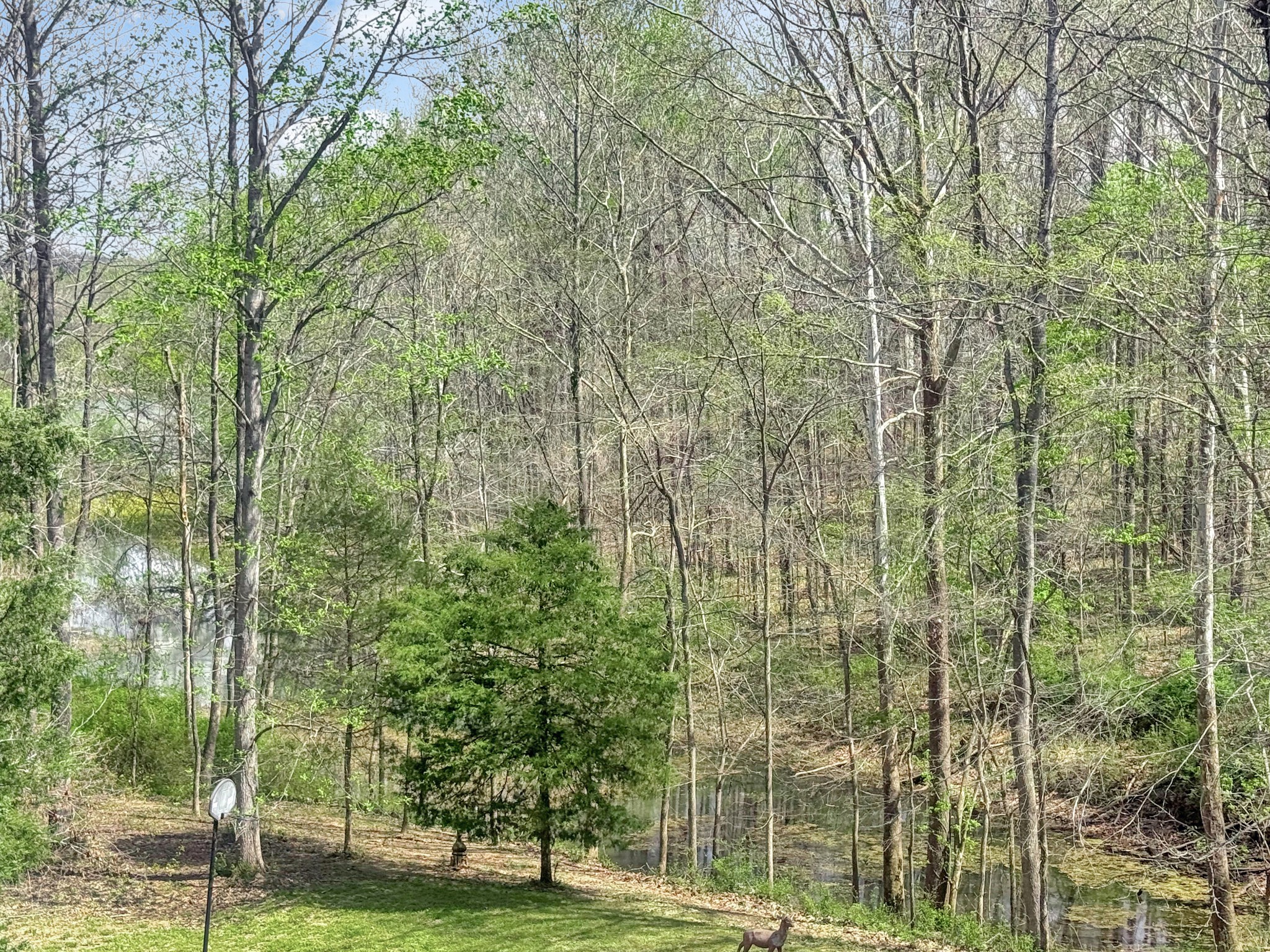 480 Hickman Shores Road Dover, TN 37058 - Photo 36 of 44 a view of a city view