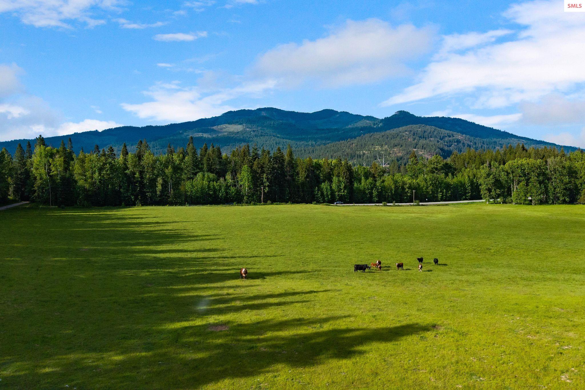 13962 Dufort Road Priest River, ID 83856 - Photo 47 of 85 Gallery Image 47