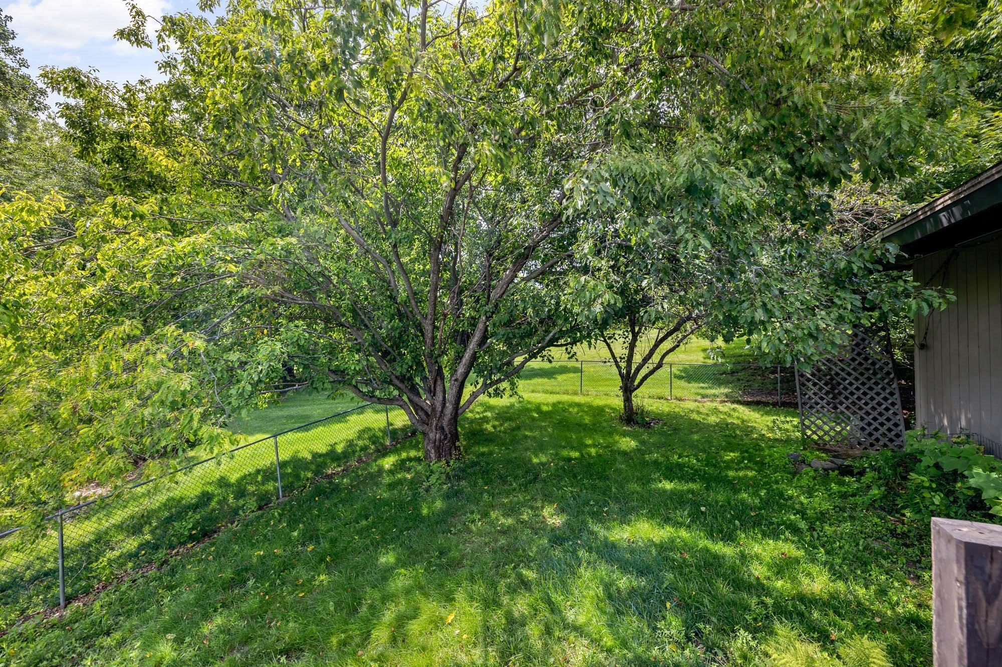 9 Ridge Road Jericho, VT 05465 - Photo 15 of 39