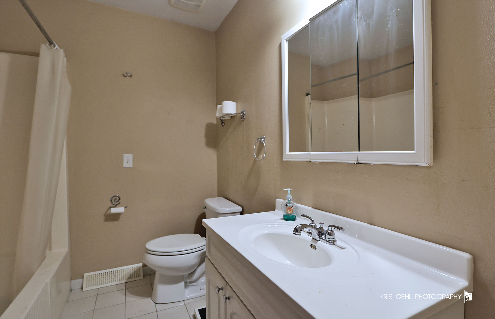 33312 North Lone Rock Road Grayslake, IL 60030 - Photo 16 of 25 a bathroom with a sink a toilet and shower