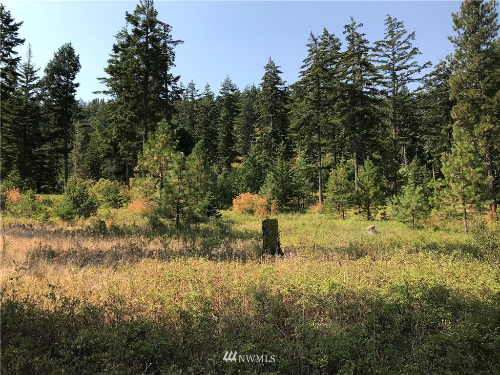 -lot F Masterson Road Cle Elum, WA 98922 - Photo 3 of 5 Gallery Image 3