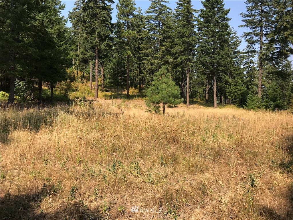 -lot F Masterson Road Cle Elum, WA 98922 - Photo 5 of 5 Gallery Image 5