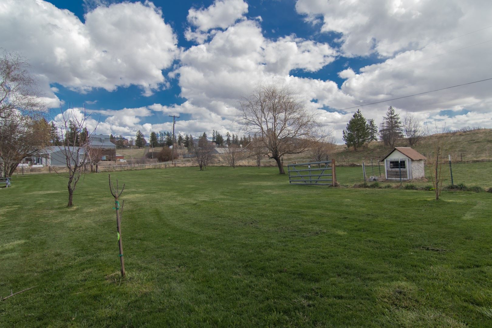704 West Spring Valley Road Latah, WA 99018 - Photo 6 of 31 Gallery Image 6