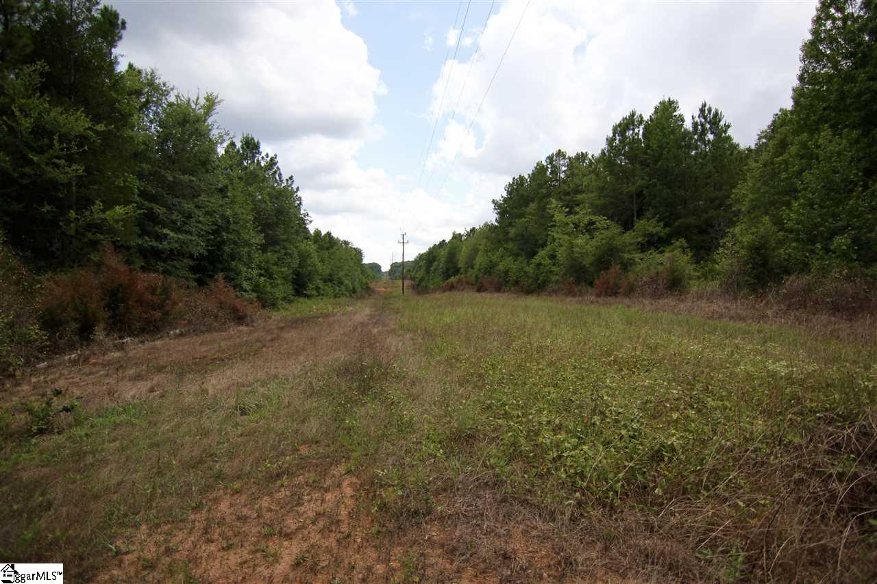 8885 Highway 252 Ware Shoals, SC 29692 - Photo 14 of 22