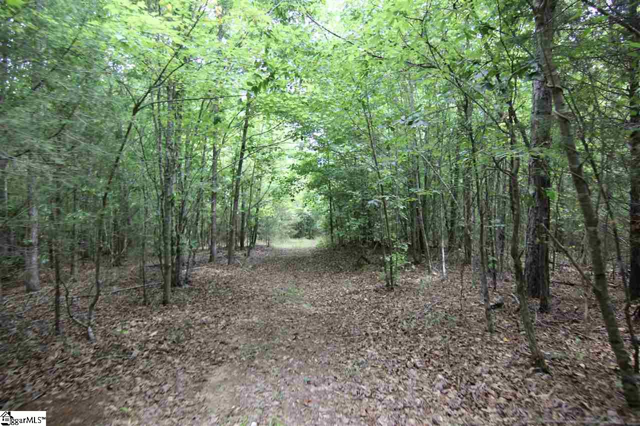 8885 Highway 252 Ware Shoals, SC 29692 - Photo 15 of 22