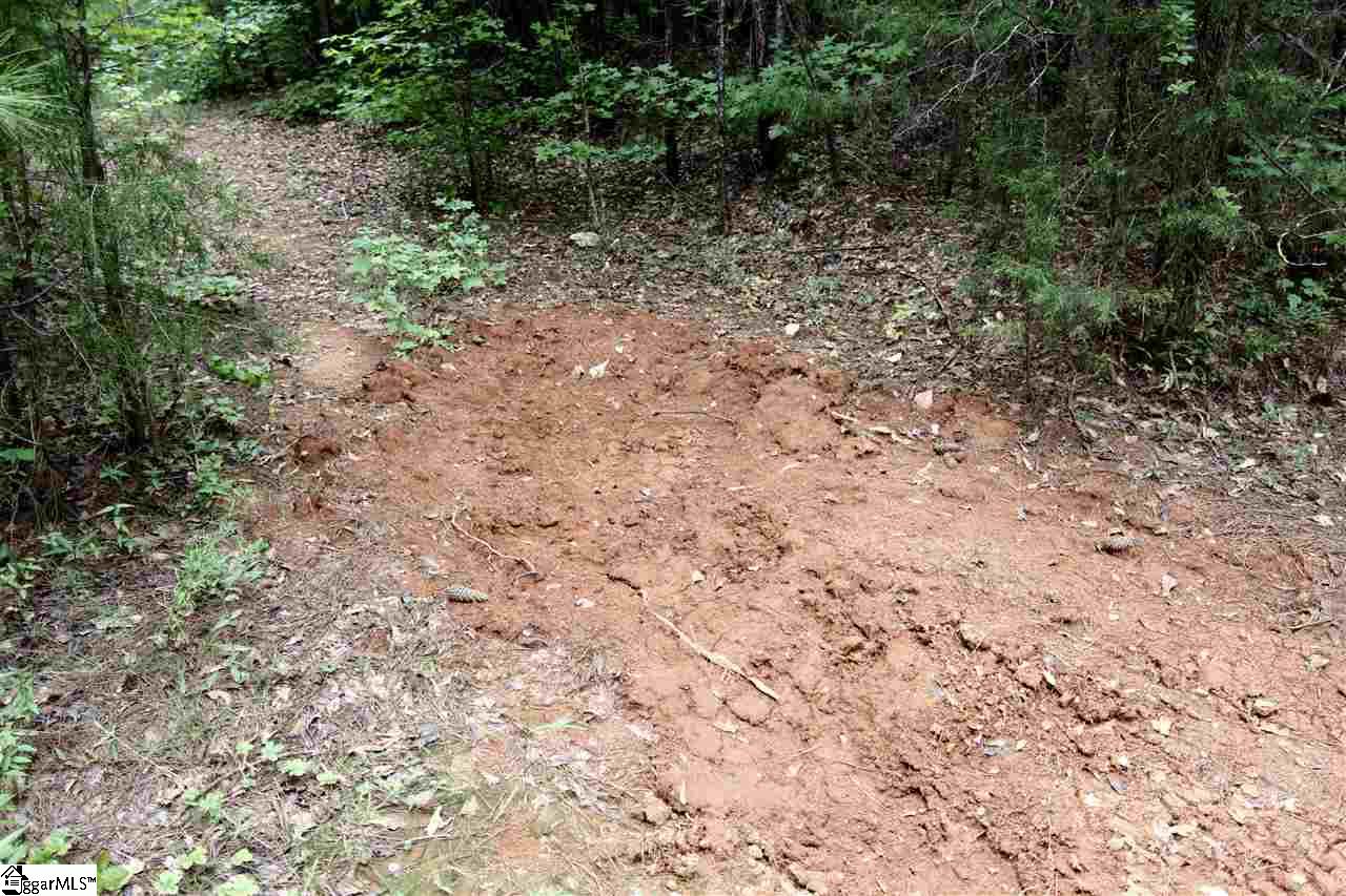 8885 Highway 252 Ware Shoals, SC 29692 - Photo 18 of 22