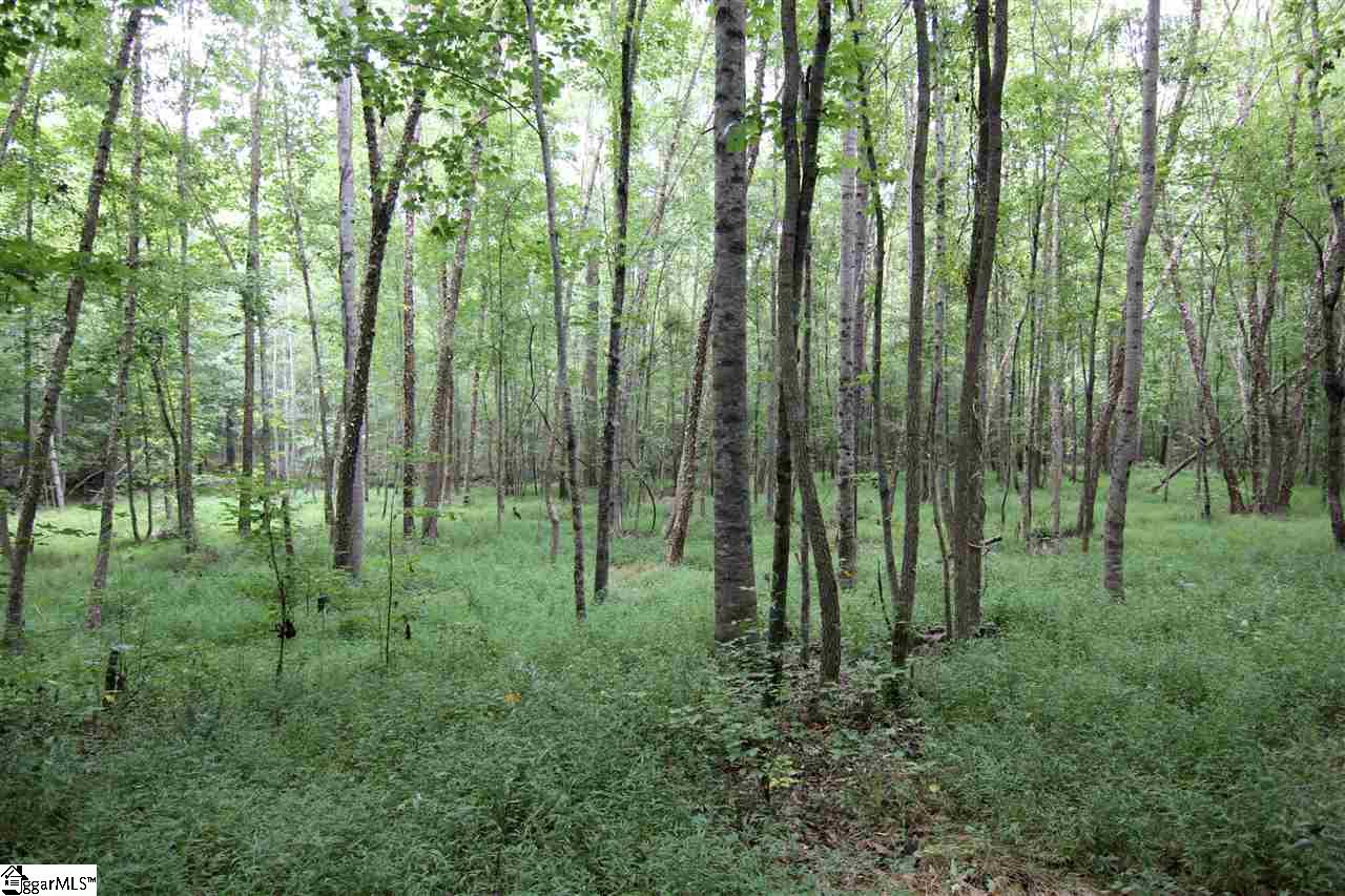 8885 Highway 252 Ware Shoals, SC 29692 - Photo 19 of 22
