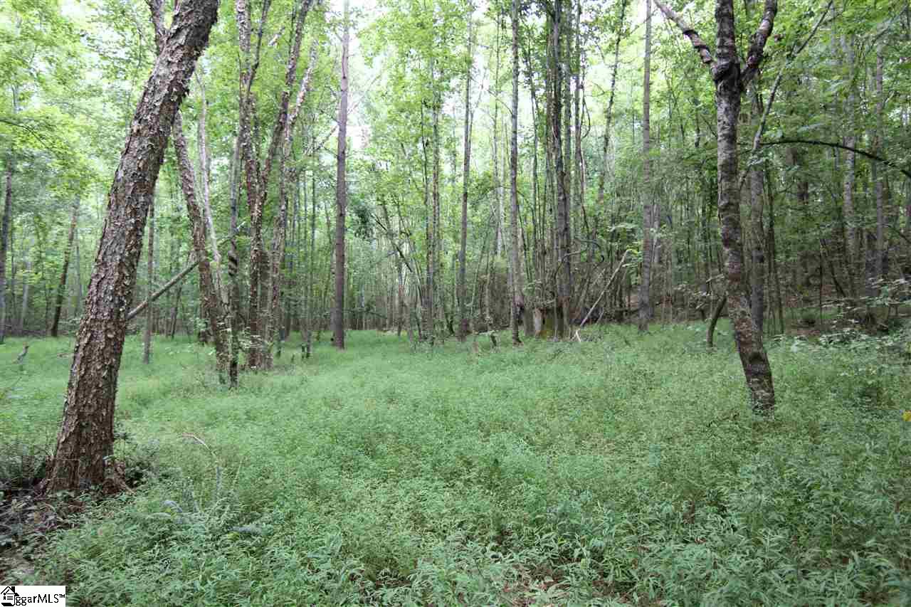 8885 Highway 252 Ware Shoals, SC 29692 - Photo 20 of 22