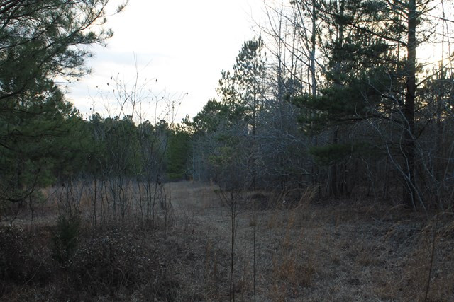 0 Bighorn Road Wagener, SC 29164 - Photo 4 of 6