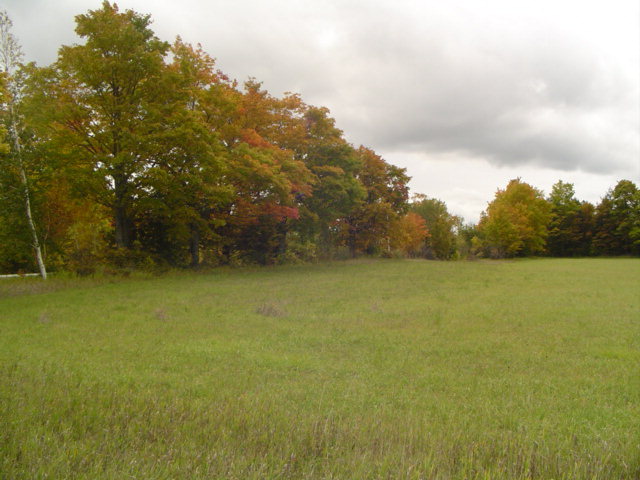 Lot 3 Fieldcrest Road Sister Bay, WI 54234 - Photo 1 of 1 Main View