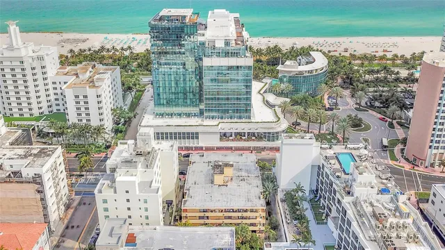 a view of a garden with plants