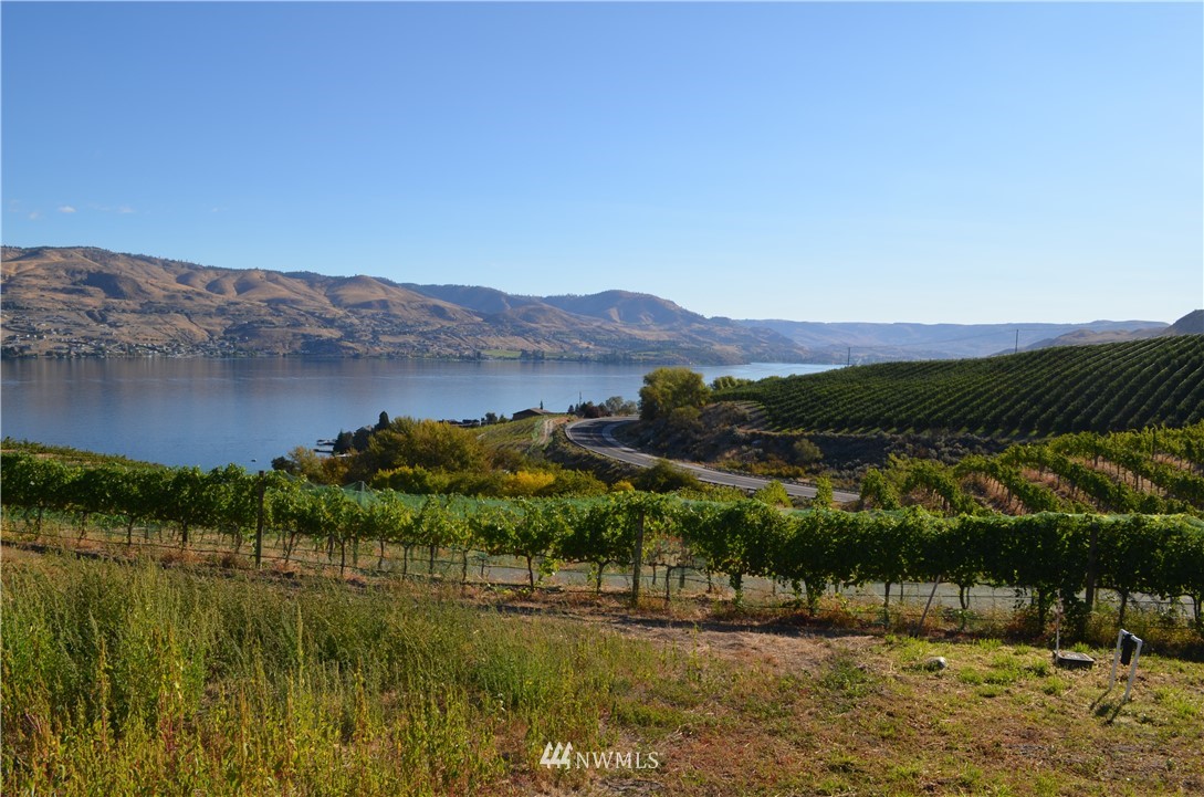 143 Clos Chevalle Road Chelan, WA 98816 - Photo 11 of 31 Gallery Image 11