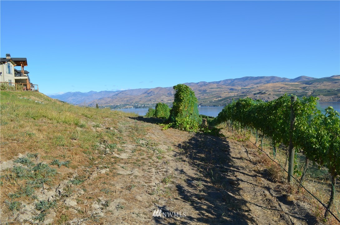 143 Clos Chevalle Road Chelan, WA 98816 - Photo 14 of 31 Gallery Image 14