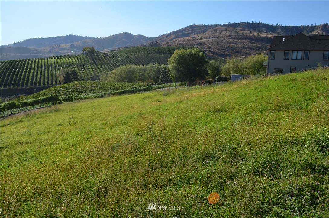 143 Clos Chevalle Road Chelan, WA 98816 - Photo 18 of 31 Gallery Image 18