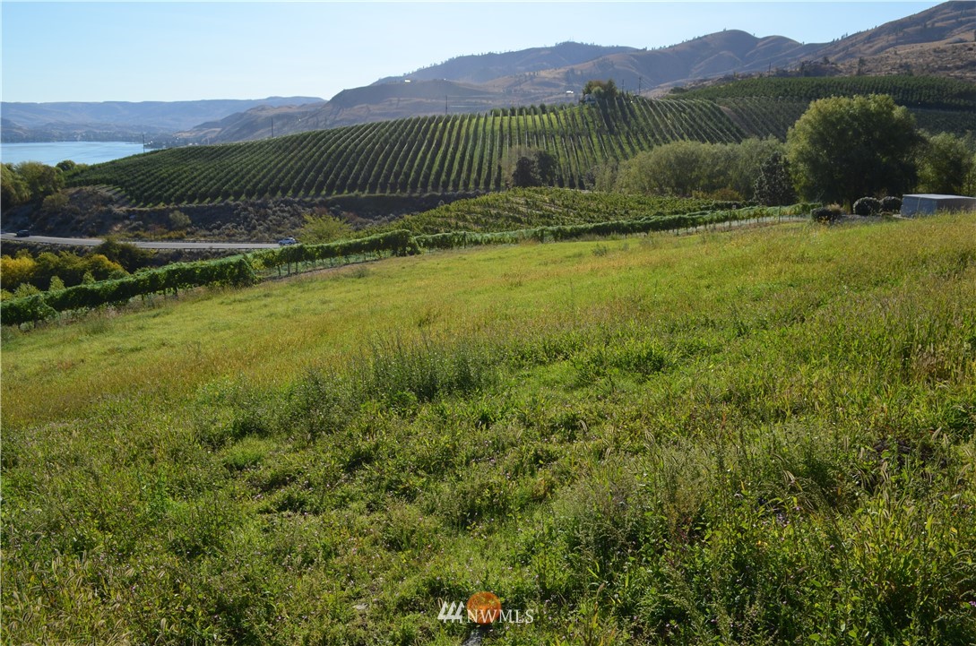 143 Clos Chevalle Road Chelan, WA 98816 - Photo 20 of 31 Gallery Image 20