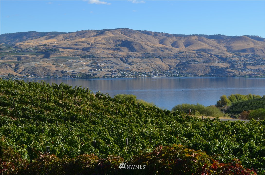 143 Clos Chevalle Road Chelan, WA 98816 - Photo 29 of 31 Gallery Image 29