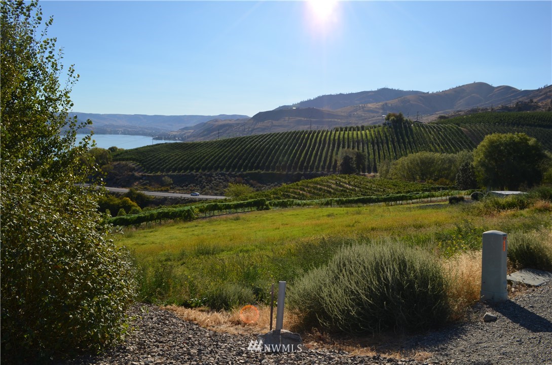 143 Clos Chevalle Road Chelan, WA 98816 - Photo 8 of 31 Gallery Image 8