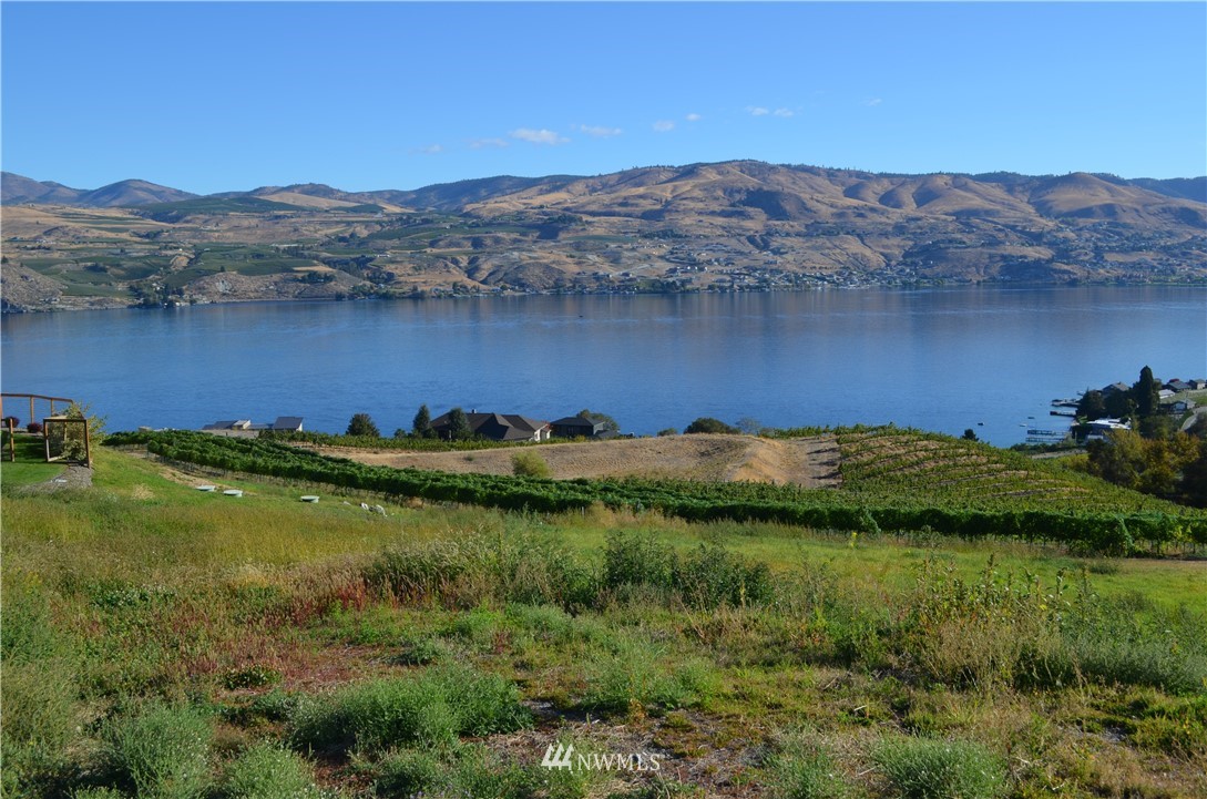 143 Clos Chevalle Road Chelan, WA 98816 - Photo 9 of 31 Gallery Image 9