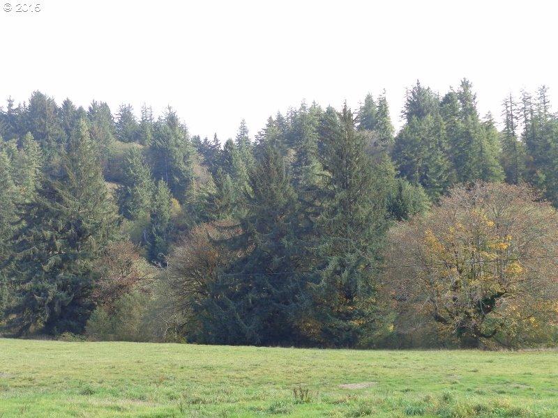 22505 Highway 101 South Beaver, OR 97112 - Photo 23 of 30 Prop3