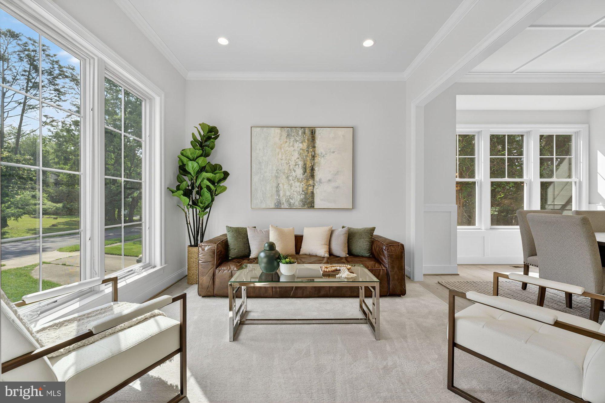 1436 Layman Street McLean, VA 22101 - Photo 10 of 105 a living room with furniture and a potted plant