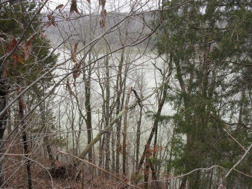 1 Acreyville Road Alpha, KY 42603 - Photo 2 of 10 image004