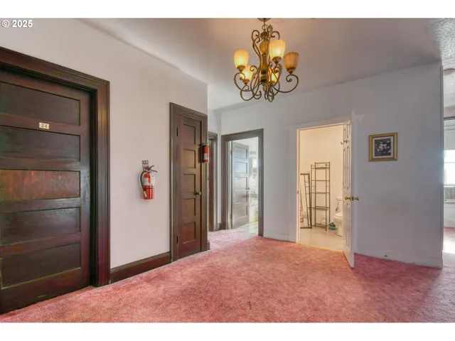 a kitchen with sink cabinets and potted plant