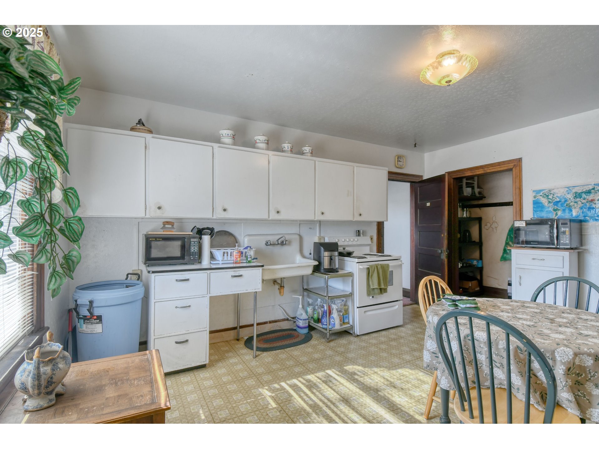 714 Southeast Byers Avenue Pendleton, OR 97801 - Photo 19 of 46 a kitchen with sink cabinets and potted plant