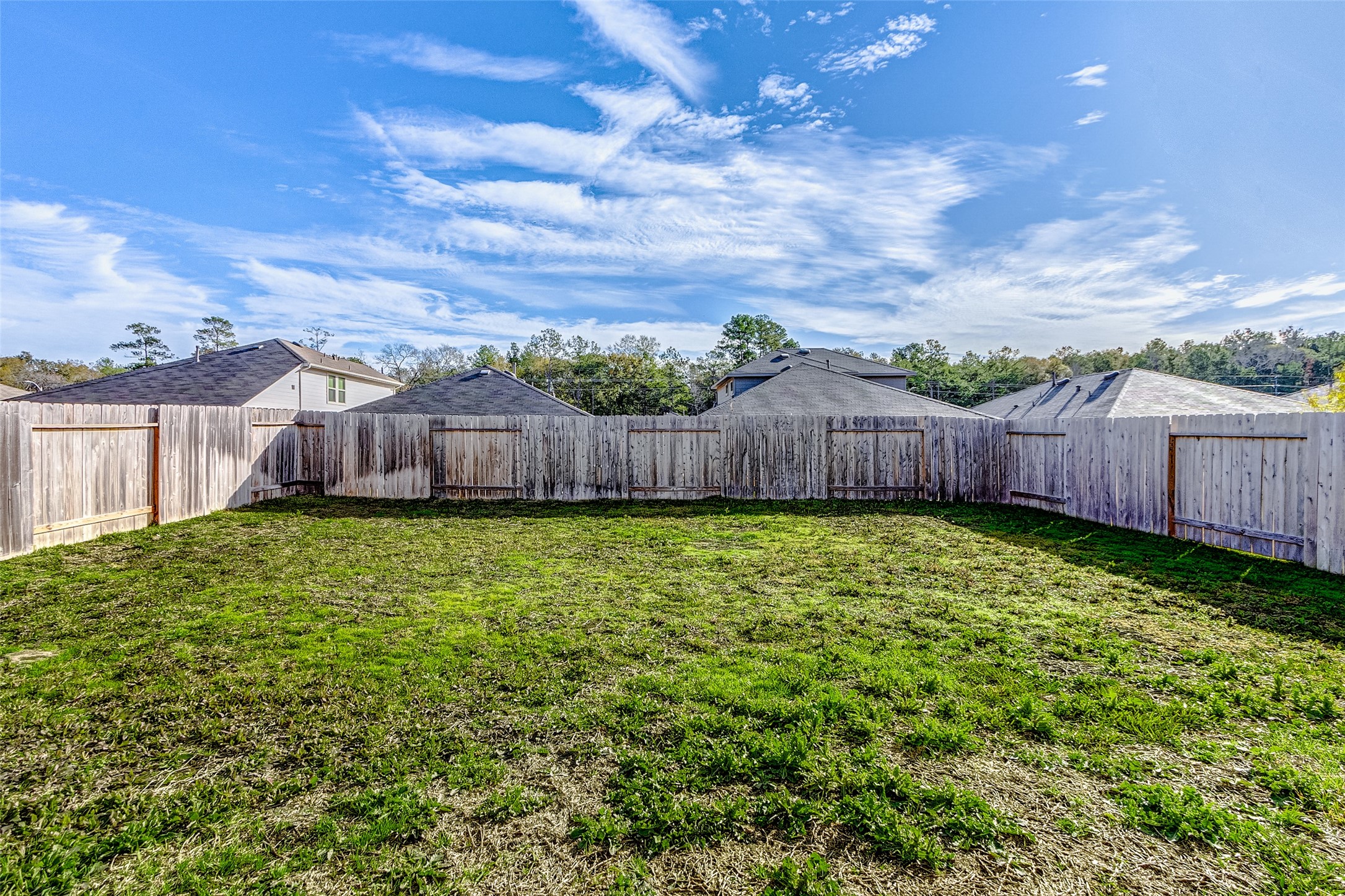 40454 Red Poppy Lane Magnolia, TX 77354 - Photo 21 of 23 a view of a backyard with large trees