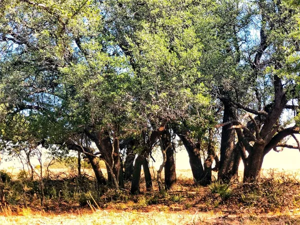 $83,900 | 523 Ava Grace Lane, Dublin, TX 76446