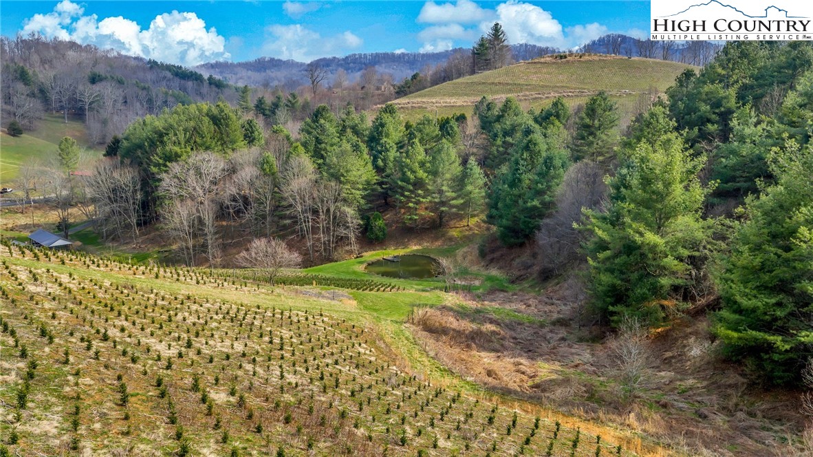 369 Spencer Branch Road Lansing, NC 28643 - Photo 46 of 50