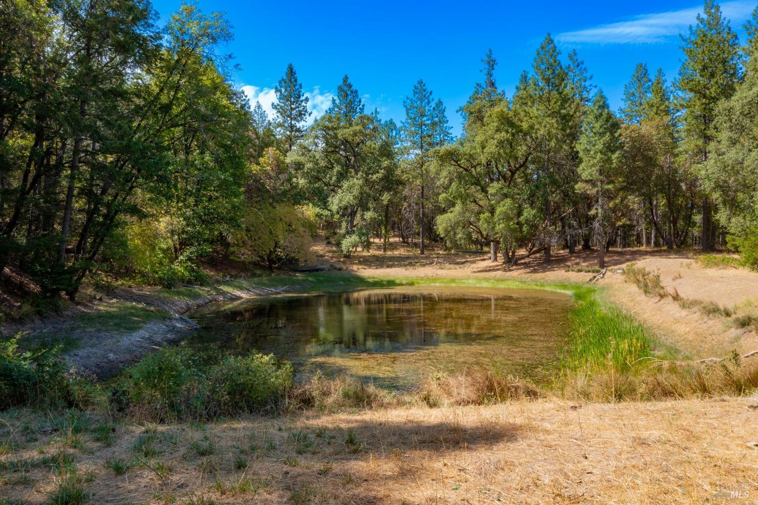58380 Highway 162 Dos Rios, CA 95429 - Photo 60 of 62