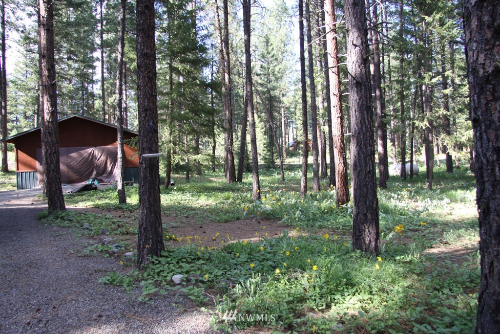 20 South Airstrip Road Twisp, WA 98856 - Photo 15 of 17 Gallery Image 15
