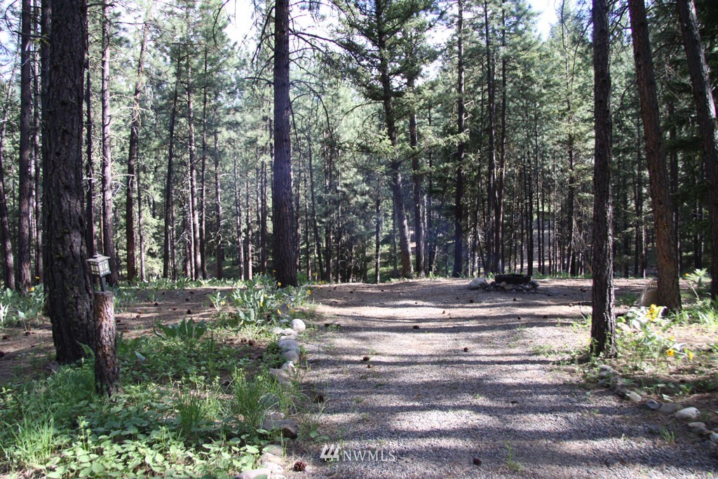 20 South Airstrip Road Twisp, WA 98856 - Photo 16 of 17 Gallery Image 16
