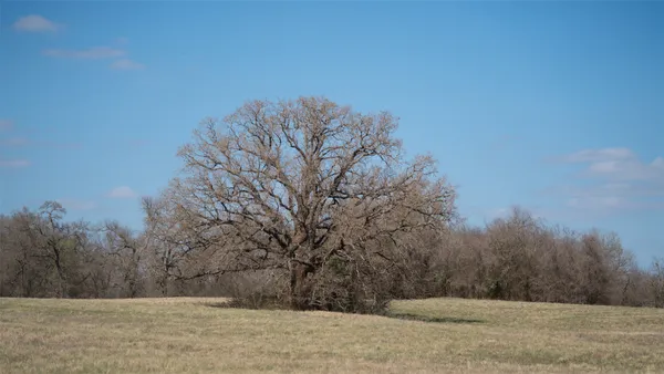 $4,428,000 | Tbd East 21st Street, Cameron, TX 76520