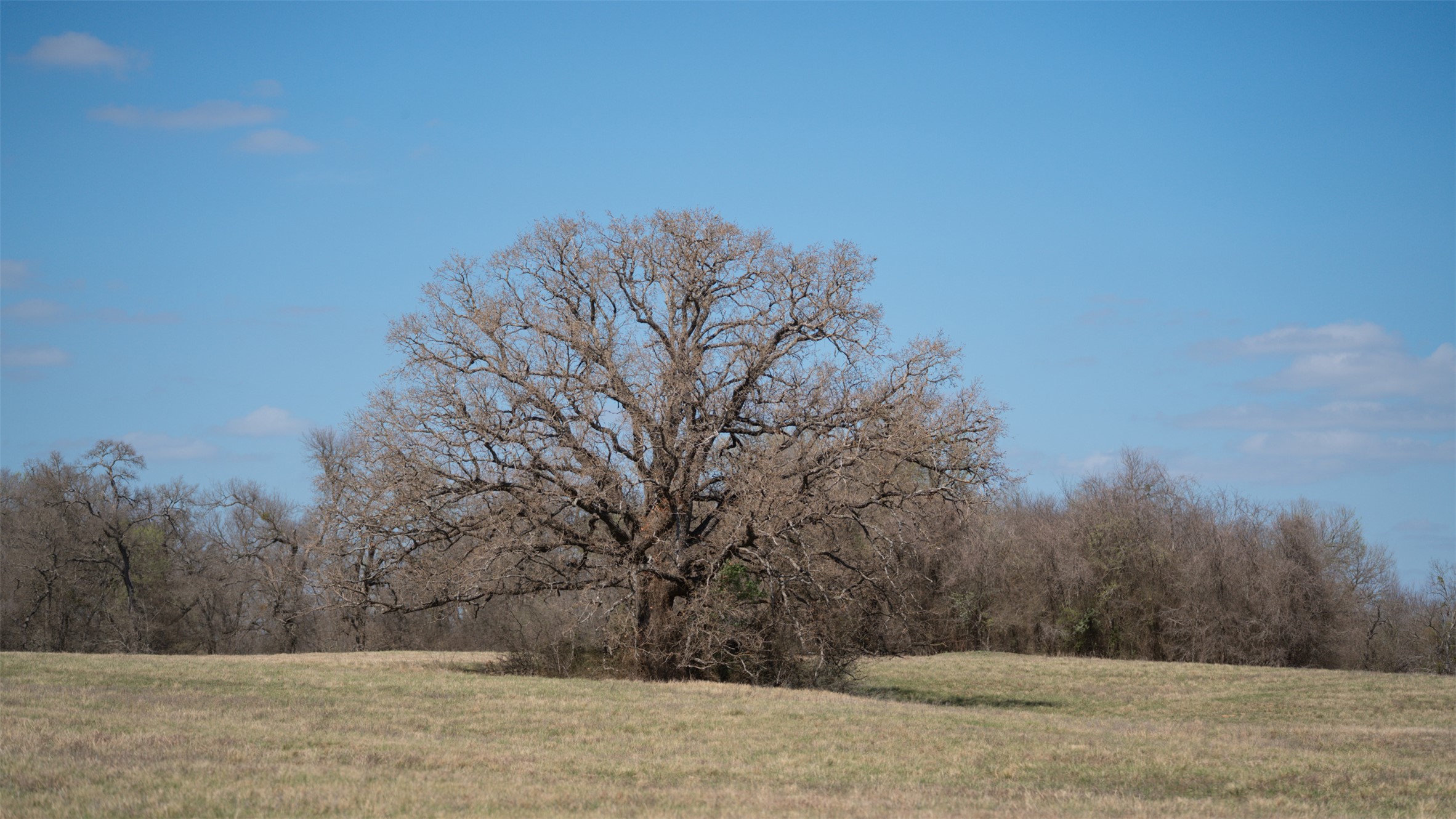 Tbd East 21st Street Cameron, TX 76520 - Photo 36 of 39