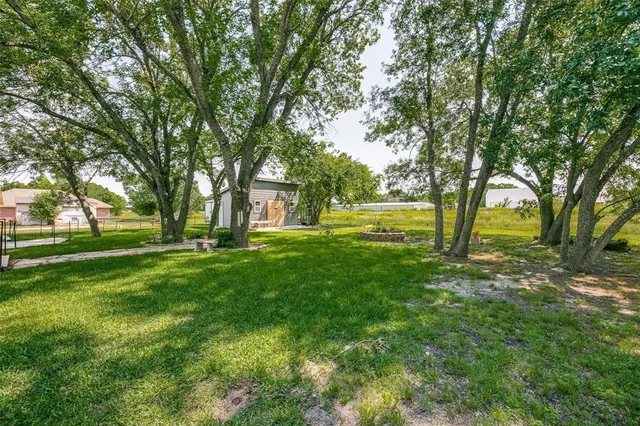 a view of yard with trees
