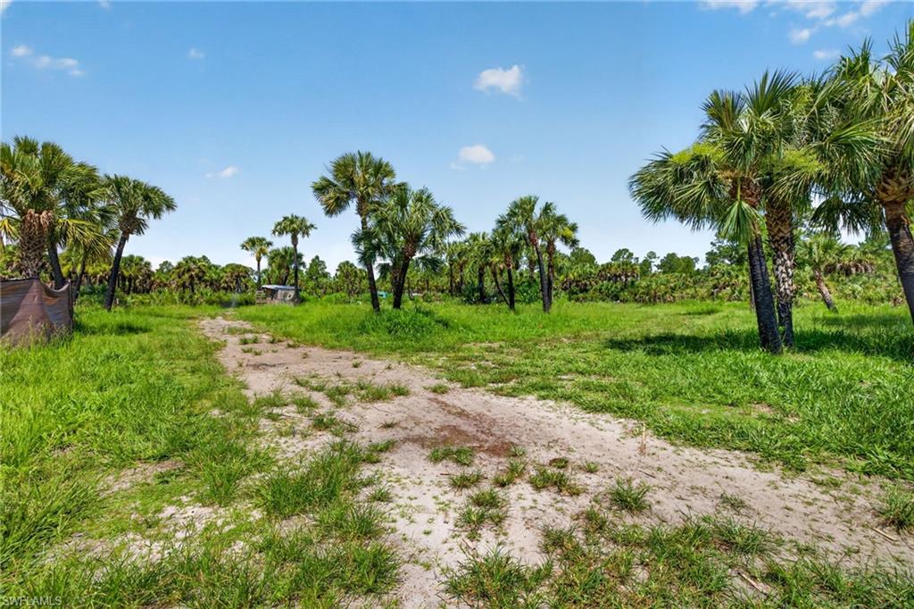 Naples Fl Naples Way Naples, FL 34117 - Photo 5 of 12