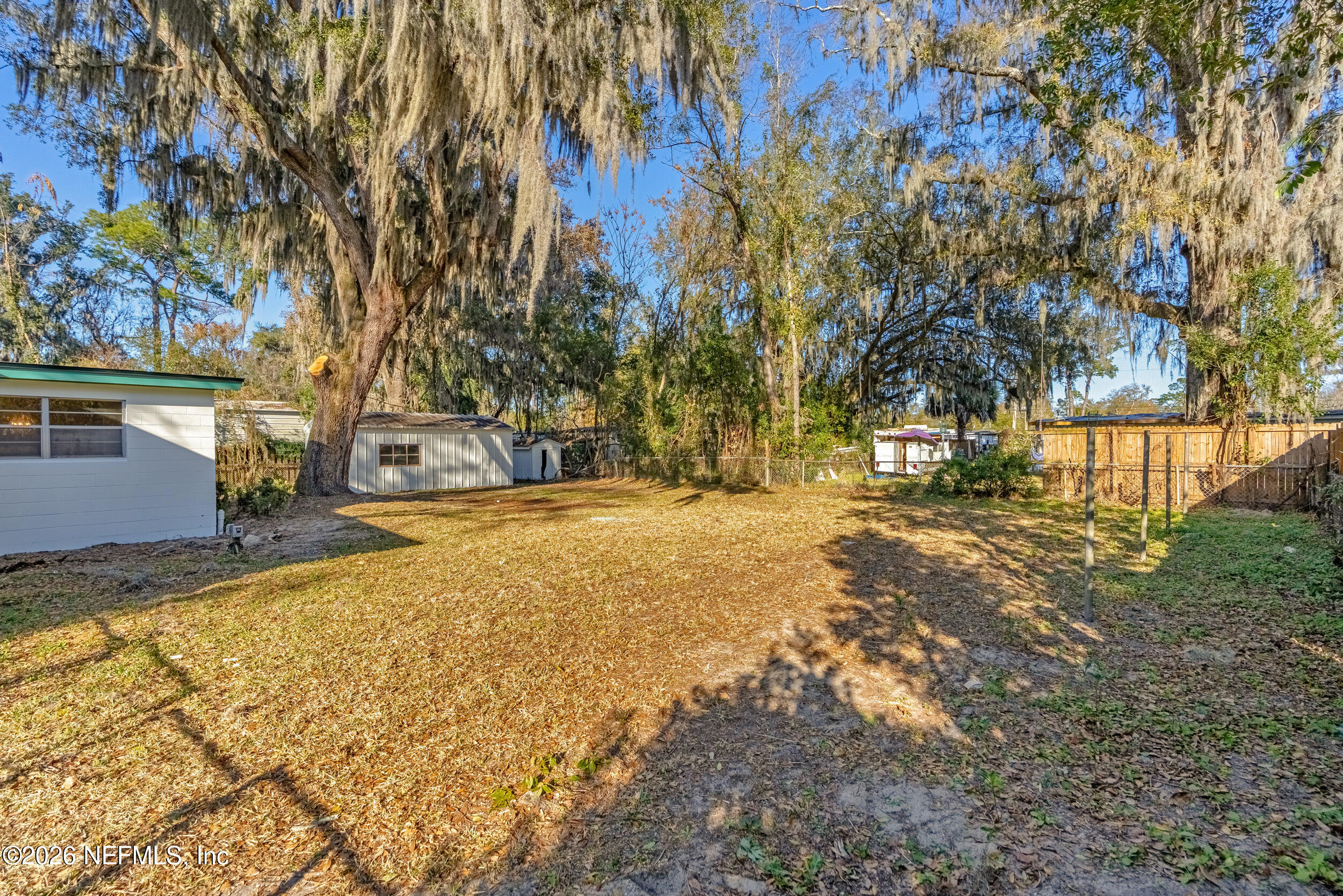 10531 Rutgers Road Jacksonville, FL 32218 - Photo 30 of 32 a view of yard with trees