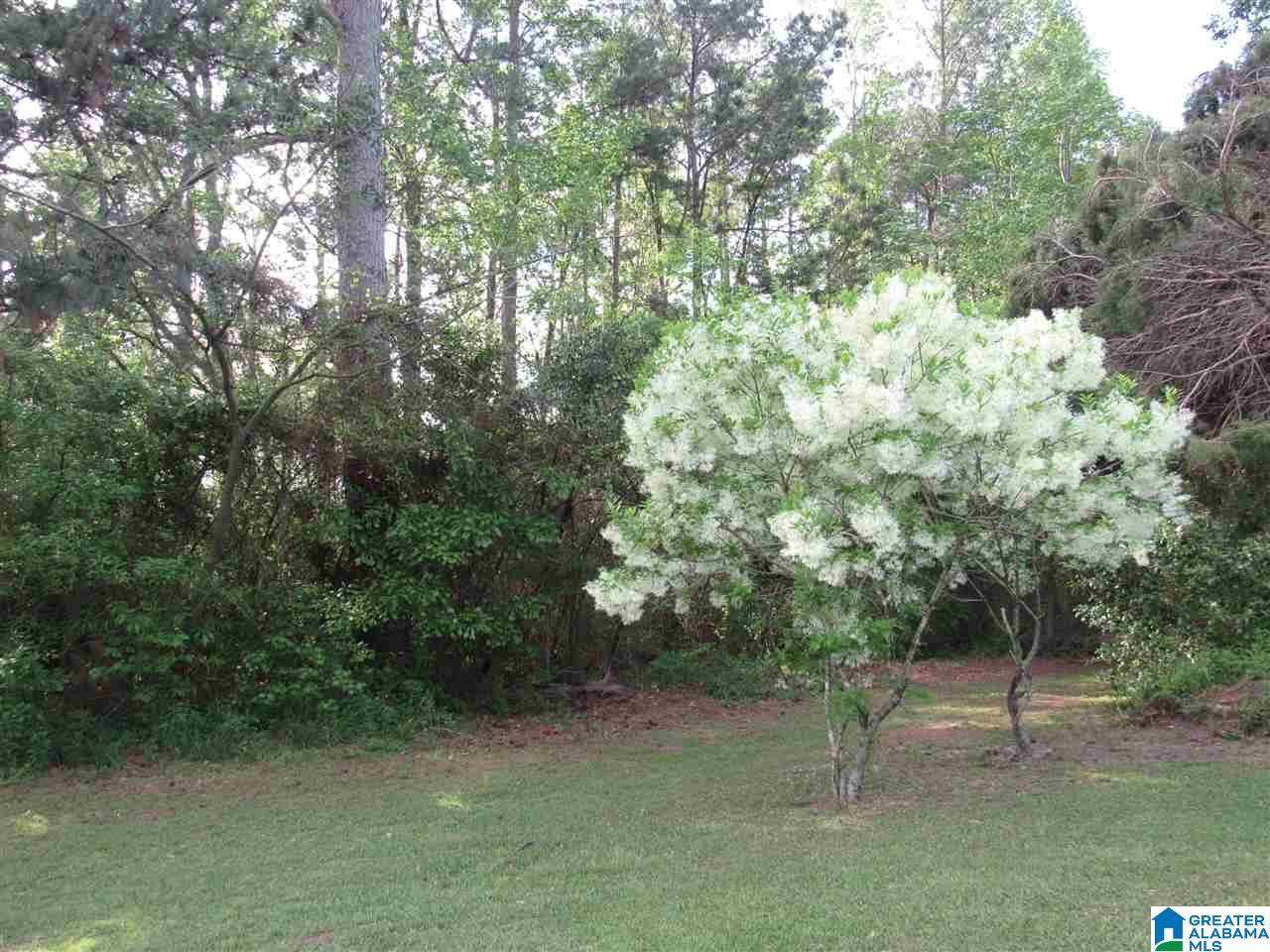 206 Hoyt Brownie Road Clanton, AL 35045 - Photo 8 of 26