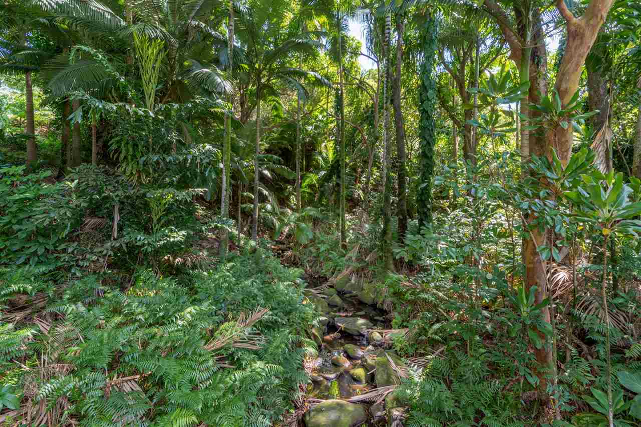 400 North Honokala Road Haiku, HI 96708 - Photo 18 of 30 a view of a lush green forest