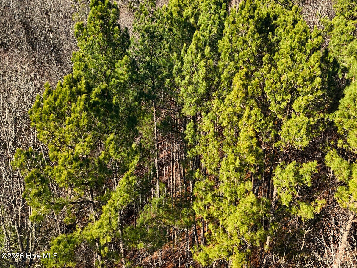 0 Nc 98 Hwy Spring Spring Hope, NC 27882 - Photo 35 of 39 35. Drone Photo