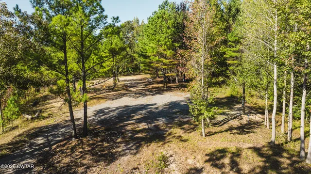 a view of a yard with plants and trees