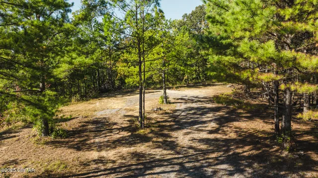 a view of a yard with trees