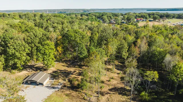 a view of a city with lush green forest