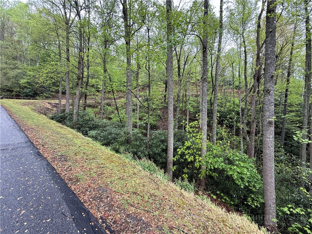 Lot 36 Daisy Ridge Road Banner Elk, NC 28604 - Photo 16 of 34 Gallery Image 16