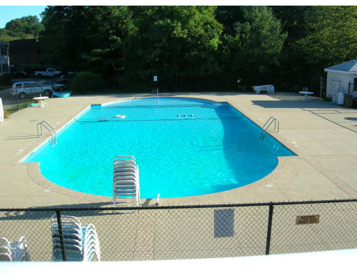 141 Lake Shore Road, Unit 3 Boston, MA 02135 - Photo 13 of 20 a view of outdoor space and swimming pool