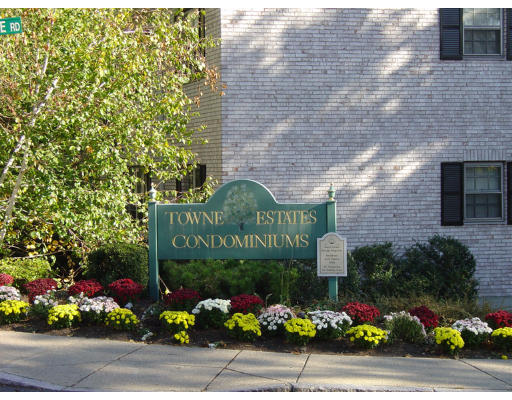 141 Lake Shore Road, Unit 3 Boston, MA 02135 - Photo 15 of 20 a street sign that is sitting in front of flowers