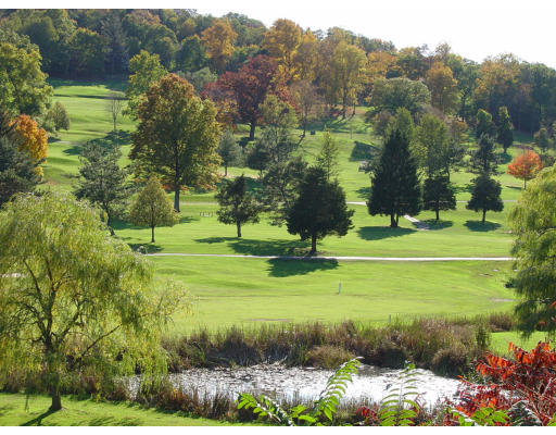 141 Lake Shore Road, Unit 3 Boston, MA 02135 - Photo 17 of 20 a view of a golf course with a park