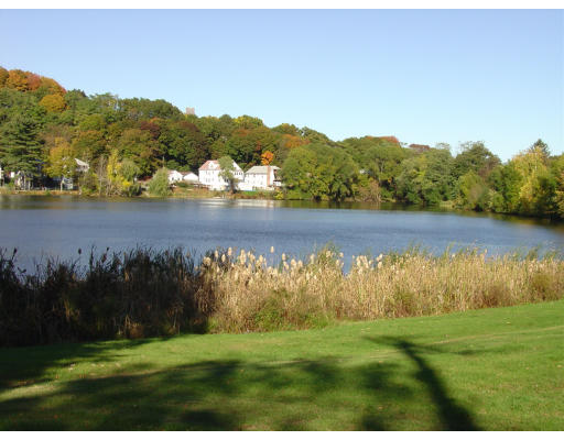 141 Lake Shore Road, Unit 3 Boston, MA 02135 - Photo 19 of 20 a view of a lake with a mountain in the background