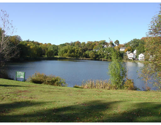 141 Lake Shore Road, Unit 3 Boston, MA 02135 - Photo 20 of 20 a view of a lake with a yard